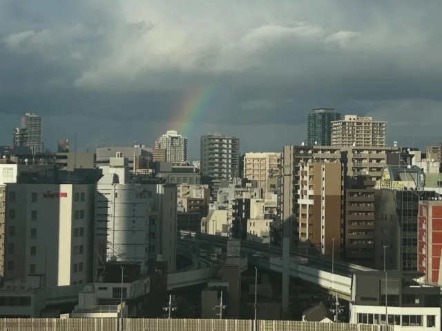 先日、事務所の窓から綺麗な虹が見えました‼︎🌈
雨が降っていたわけではなかったので驚きです😳
こんなに虹の7色がはっきり見えたのが初めてでした‼︎
何かいいことがありそうな予感です💭

#株式会社マリアス#mareasjapan
#不動産#不動産投資#マンション投資
#賃貸管理#沖縄#リゾート#リゾート開発
#沖縄別荘#leceb