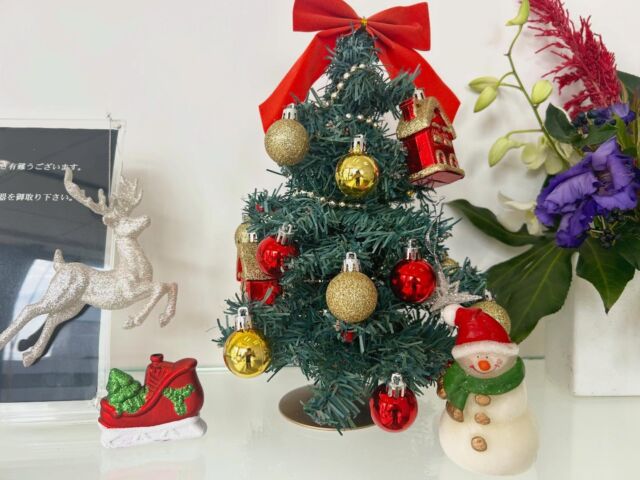 今年も残すところあと1か月となりましたね‼︎
12月に入り、マリアスではクリスマス仕様に模様替えしました🎄✨
街中もクリスマスの飾り付けを目にする機会が増えてきて、クリスマスが楽しみになりますね🎅🎁

#株式会社マリアス#mareasjapan
#不動産#不動産投資#マンション投資
#賃貸管理#沖縄#リゾート#リゾート開発
#沖縄別荘#leceb